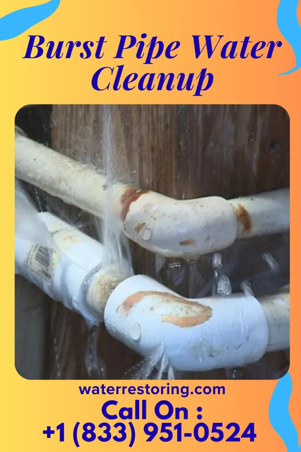 Burst Pipe Water Cleanup in Palmona Park, FL
