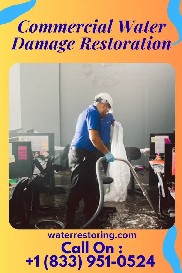 Commercial Water Damage Restoration in Palmona Park, FL