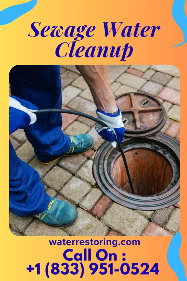 Sewage Water Cleanup in Palmona Park, FL